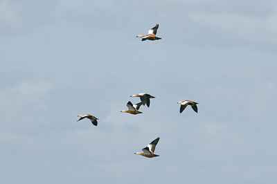 BUITEN BEELD Foto: 11169