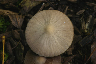 BUITEN BEELD Foto: 11184