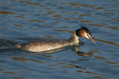 BUITEN BEELD Foto: 11188