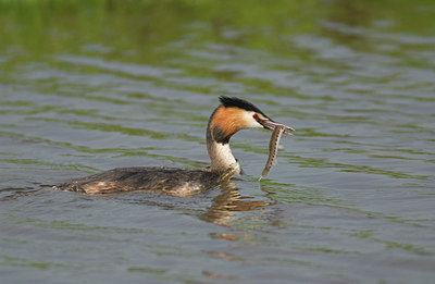 BUITEN BEELD Foto: 11197