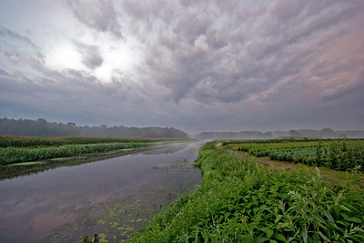 BUITEN BEELD Foto: 11304