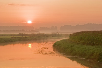 BUITEN BEELD Foto: 11306