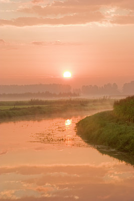 BUITEN BEELD Foto: 11307