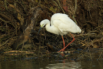 BUITEN BEELD Foto: 11310
