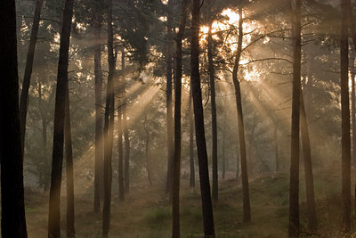 BUITEN BEELD Foto: 11365