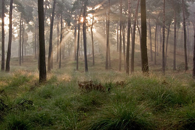 BUITEN BEELD Foto: 11366