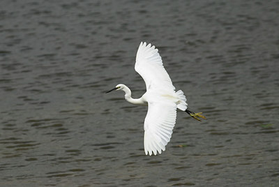 BUITEN BEELD Foto: 11384