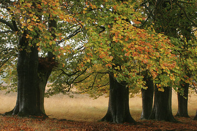 BUITEN BEELD Foto: 11437