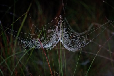 BUITEN BEELD Foto: 11453