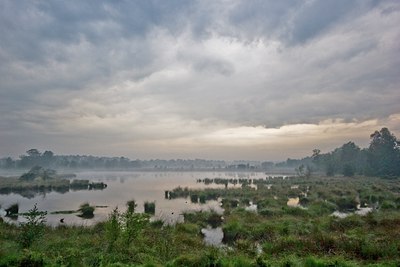 BUITEN BEELD Foto: 11456