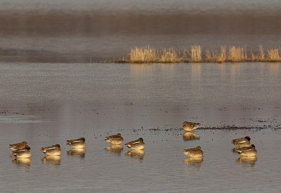 BUITEN BEELD Foto: 11487
