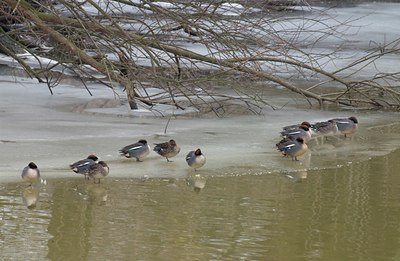 BUITEN BEELD Foto: 11488