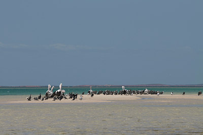 BUITEN BEELD Foto: 11622