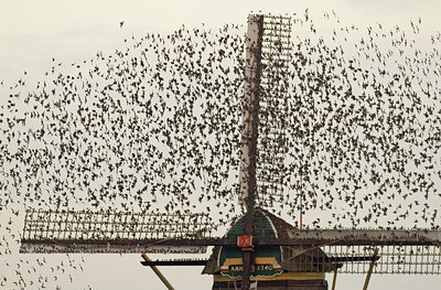 BUITEN BEELD Foto: 11673