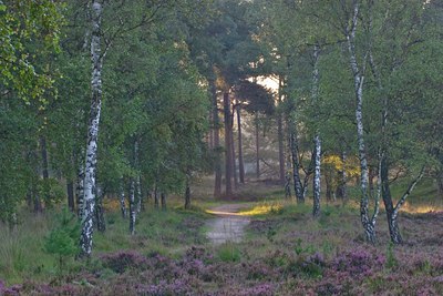 BUITEN BEELD Foto: 11691