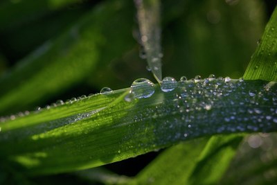 BUITEN BEELD Foto: 11792