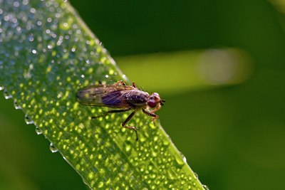 BUITEN BEELD Foto: 11793