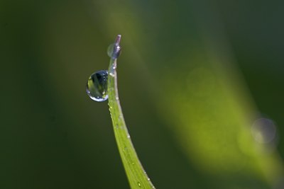 BUITEN BEELD Foto: 11796