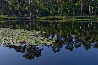 BUITEN BEELD Foto: 11850