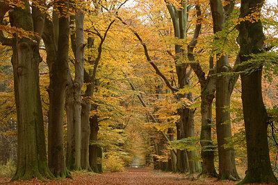 BUITEN BEELD Foto: 11876