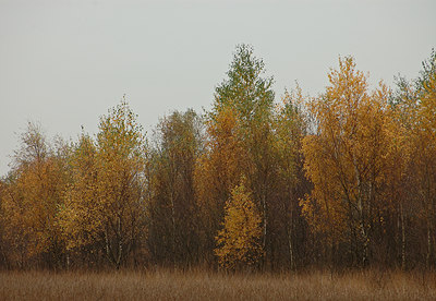 BUITEN BEELD Foto: 11877