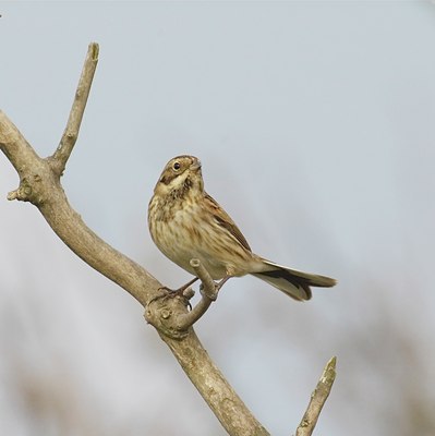 BUITEN BEELD Foto: 11906