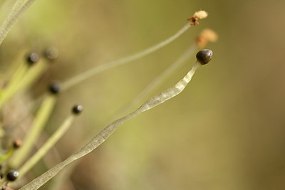 BUITEN BEELD Foto: 119006