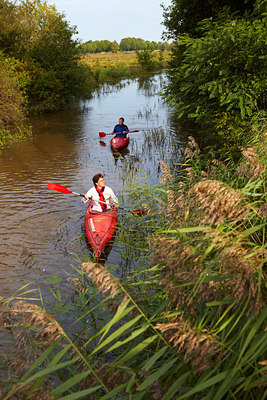 BUITEN BEELD Foto: 119046