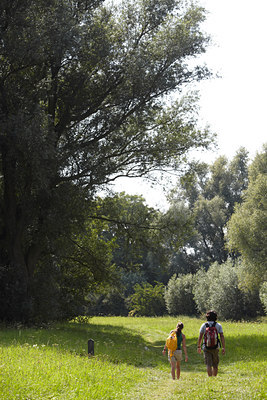 BUITEN BEELD Foto: 119051