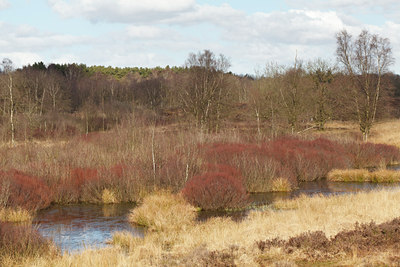 BUITEN BEELD Foto: 119111