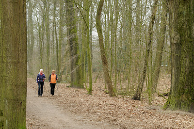 BUITEN BEELD Foto: 119135
