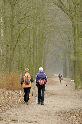 BUITEN BEELD Foto: 119139