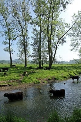 BUITEN BEELD Foto: 119423