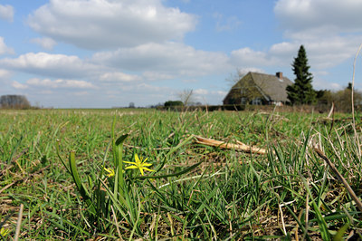BUITEN BEELD Foto: 119497