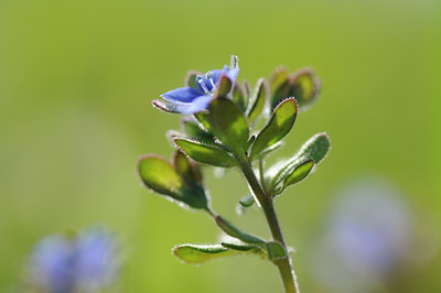 BUITEN BEELD Foto: 119512