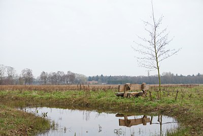 BUITEN BEELD Foto: 119549