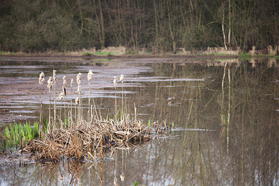 BUITEN BEELD Foto: 119551