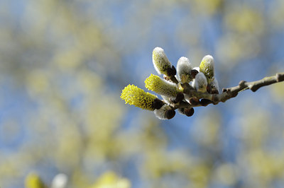 BUITEN BEELD Foto: 119632