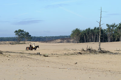 BUITEN BEELD Foto: 119668