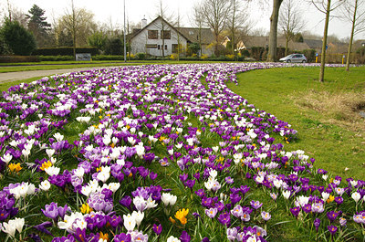 BUITEN BEELD Foto: 119761