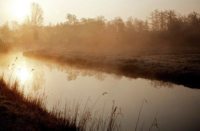 BUITEN BEELD Foto: 119835