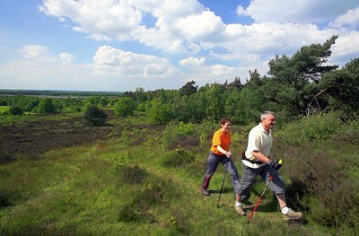 BUITEN BEELD Foto: 119856