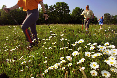 BUITEN BEELD Foto: 119862