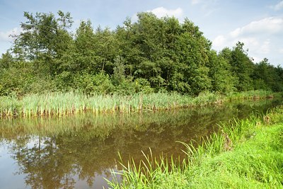 BUITEN BEELD Foto: 119908