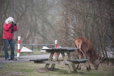 BUITEN BEELD Foto: 119945