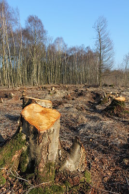 BUITEN BEELD Foto: 119952
