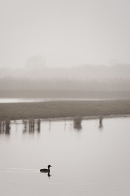 BUITEN BEELD Foto: 119953
