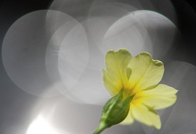 BUITEN BEELD Foto: 120023