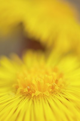 BUITEN BEELD Foto: 120027