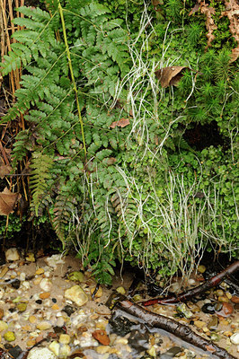 BUITEN BEELD Foto: 120109